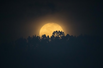 La mayor parte de los