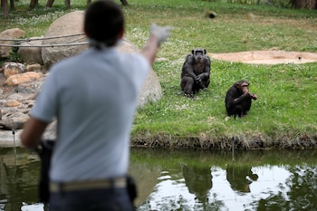 De hecho, la comunidad de
