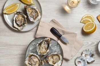Los mejillones y ostras presenta