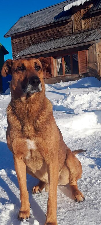 Pampero espera la salida de