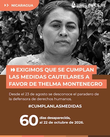 Cejil finalizó su campaña pública: la búsqueda de Thelma Montenegro continúa (Imagen cortesía)