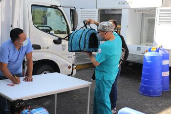 se han aplicado vacunas a