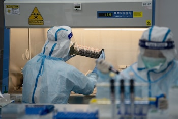 Según los datos develados por