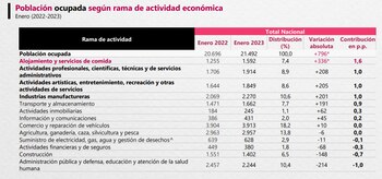 Actividades económicas y su participación