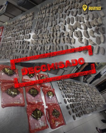 Las autoridades informaron sobre el decomiso.