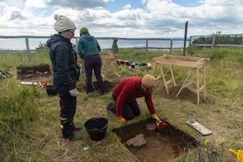 Los investigadores excavando en el lugar del hallazgo. (Universidad Austral de Chile)