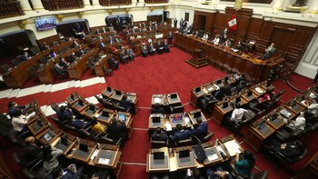 Pedro Castillo: reações a favor