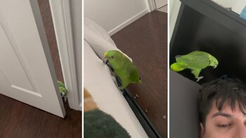 Ambos mantuvieron un divertido diálogo