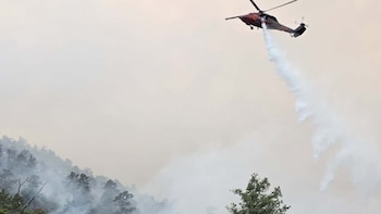 Llega a España una cúpula de calor: la Aemet advierte de temperaturas extremas y aumenta el riesgo de incendios