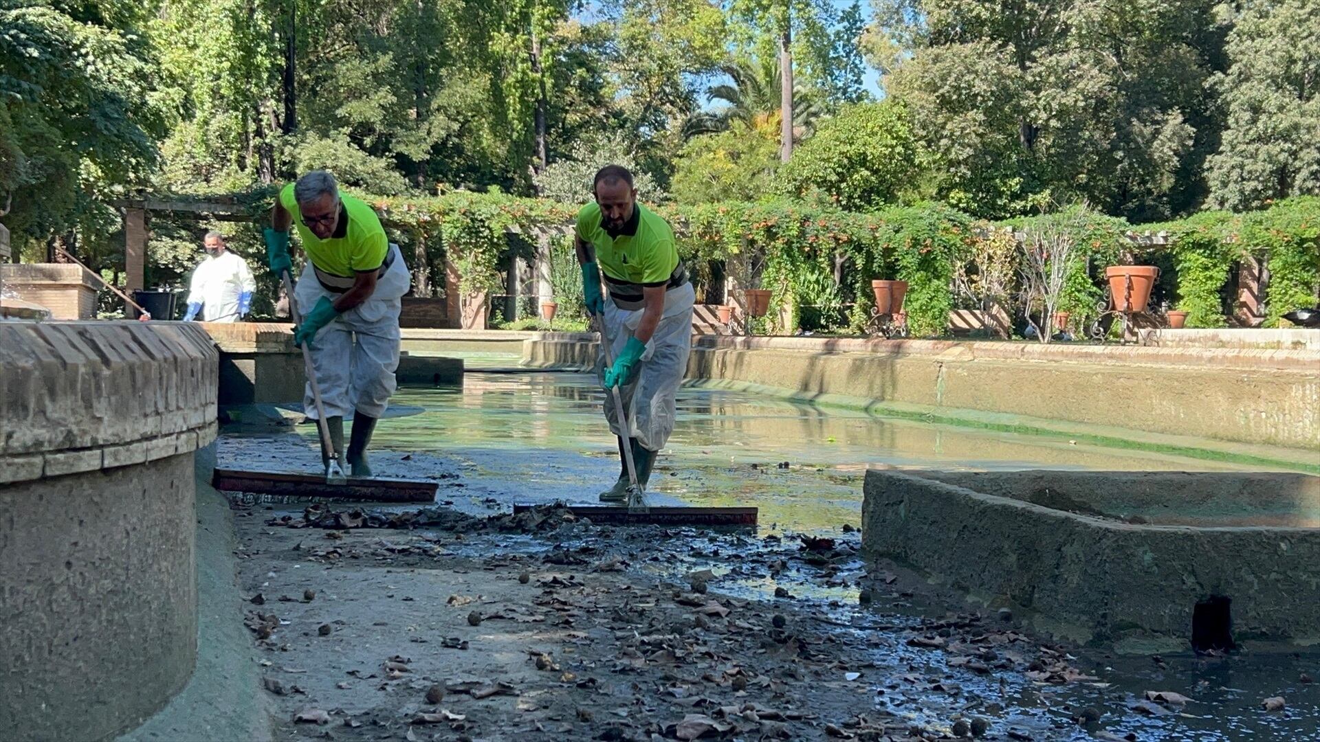 Imagen de archivo: El Ayuntamiento continúa con los trabajos de limpieza y mantenimiento de los estanques del Parque de María Luisa. (Ayuntamiento de Sevilla/Europa Press)