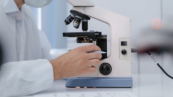 Ciencia convoca las ayudas para redes de investigación con un presupuesto de 6,6 millones