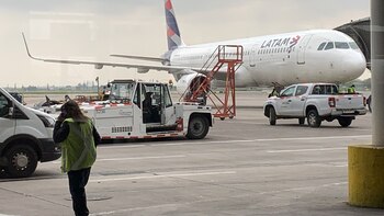 Nueva Zelanda y Chile investigan