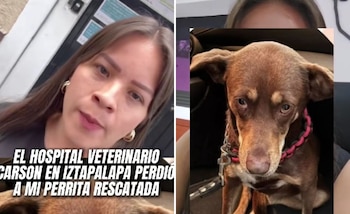 Alejandra Reyes asegura que la