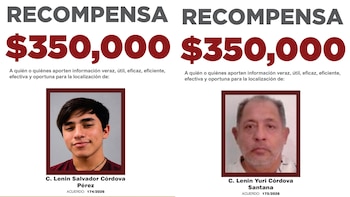 Fiscalía de Veracruz ofrece recompensa de 350 mil pesos por el presunto feminicida de la doctora Cristina Ramos: el padre también es buscado
