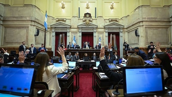 Con cambios de último minuto, el Senado aprobó un nuevo régimen de biocombustibles