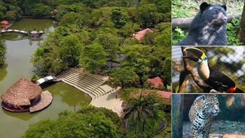 Bioparque Los Ocarros abrirá sus