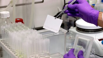 El fármaco plitidepsina logró reducir