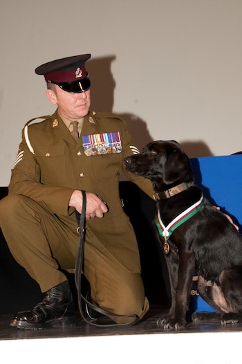 El perro destacó por detectar