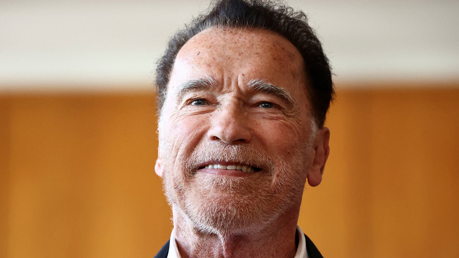 La etapa postquirúrgica motivó a Schwarzenegger a experimentar con alternativas vegetales y a mantener la presencia de la miel