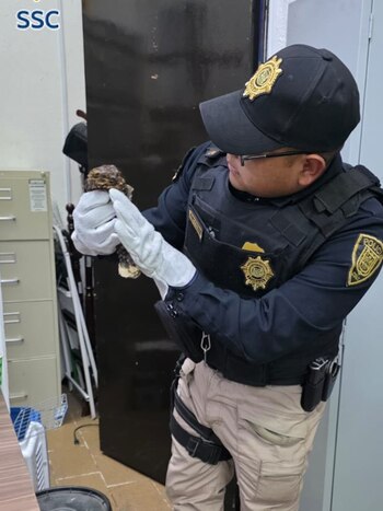 Autoridades activaron los protocolos de