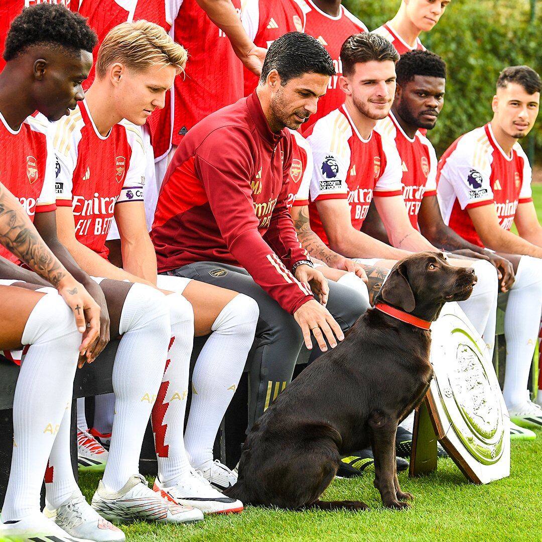 El perro Win se convierte en figura clave para mejorar el ánimo y la cohesión del grupo en los entrenamientos del Arsenal (X: @Arsenal)