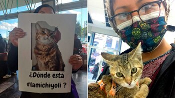 ¿Dónde está Yoli? La desaparición