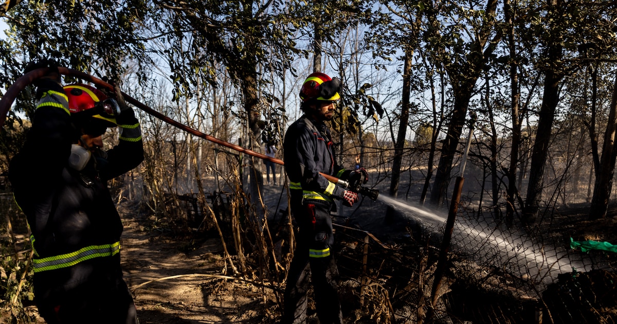 17 bomberos de Madrid denuncian falta de recursos para combatir incendios