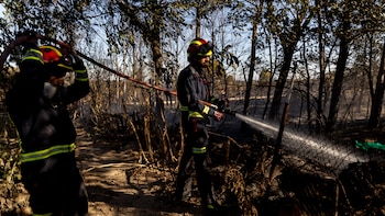 17 bomberos de la Comunidad de Madrid denuncian que la falta de recursos les impide actuar contra los incendios: “No se nos dan los medios para poder desplazarnos”