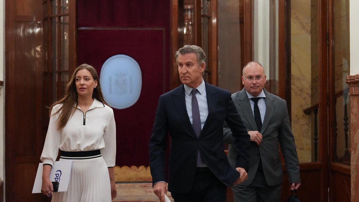 Feijóo aborda los “12 sumarios” del PSOE y pide elecciones: “Si lo sabía todo, tendrá que dimitir por corrupción; y si no lo sabía, por incompetente”