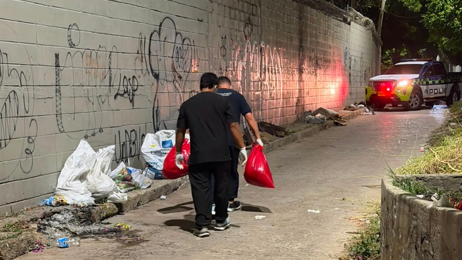 Hallazgo de dos perros incinerados en Barranquilla despertó rechazo de la comunidad: “Inaceptables”