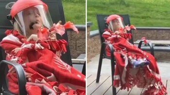 Un colibrí se le acercó,