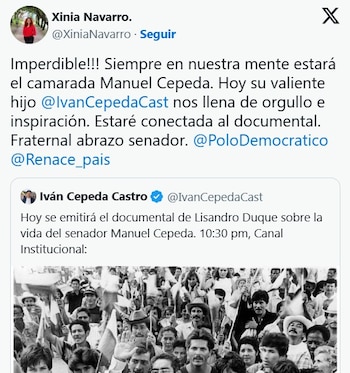 La circulación de la providencia firmada por la jueza del Juzgado 129 Penal Municipal de Bogotá intensificó el debate en redes y puso el foco en la percepción de imparcialidad judicial en decisiones adoptadas en casos mediáticos - crédito captura de pantalla @XiniaNavarro / X