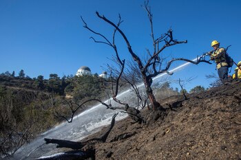 El gobernador de California anuncia