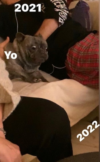 meme