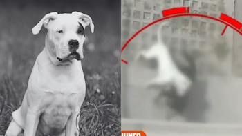 Pánico en Villa María del