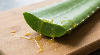 Primer plano de una hoja de aloe vera verde recién cortada con látex amarillo goteando sobre una tabla de madera clara.