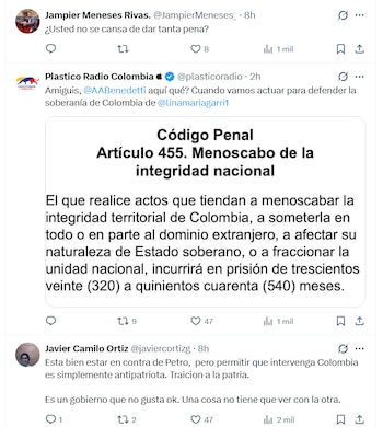 - crédito @linamariagarri1/X