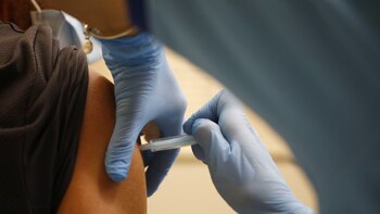 Un estudio destaca la conveniencia