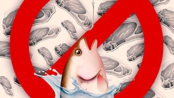 Durante la Cuaresma las personas