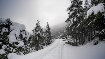 La borrasca 'Francis' dejará lluvia