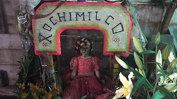 Xochimilco se llena de terror: esta es la fecha para recorrer de noche sus canales hasta la misteriosa Isla de las Muñecas