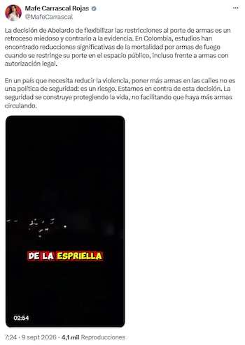 Mafe Carrascal cuestionó el decreto que levanta la suspensión del porte de armas en Colombia - crédito @MafeCarrascal/X