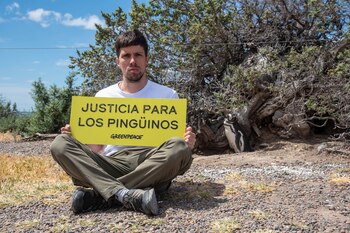 Greenpeace, Fundación Patagonia Natural y