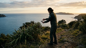 Una guardabosques de pie junto a plantas en un acantilado coloca un gran insecto sobre las hojas frente al mar al atardecer.