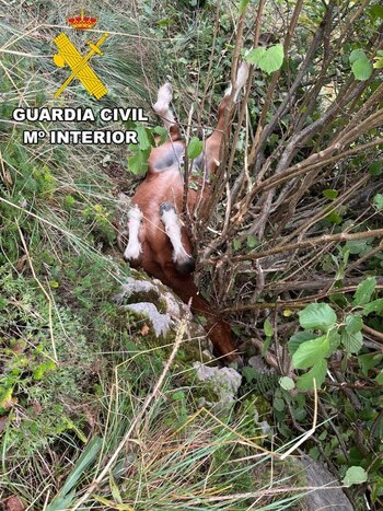 Imagen EZ3IVCF57NBH3KMNBGMMBA6BMI