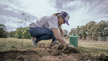 El informe realizado adopta y