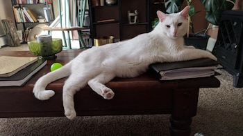 (Instagram jerrylamark)