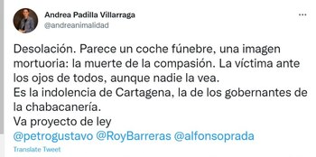 Senadora sobre el proyecto de