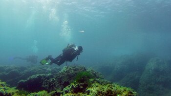 Constatan que los sedimentos marinos