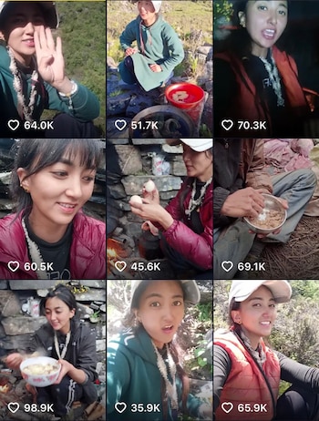 Capturas de vainas publicaciones de